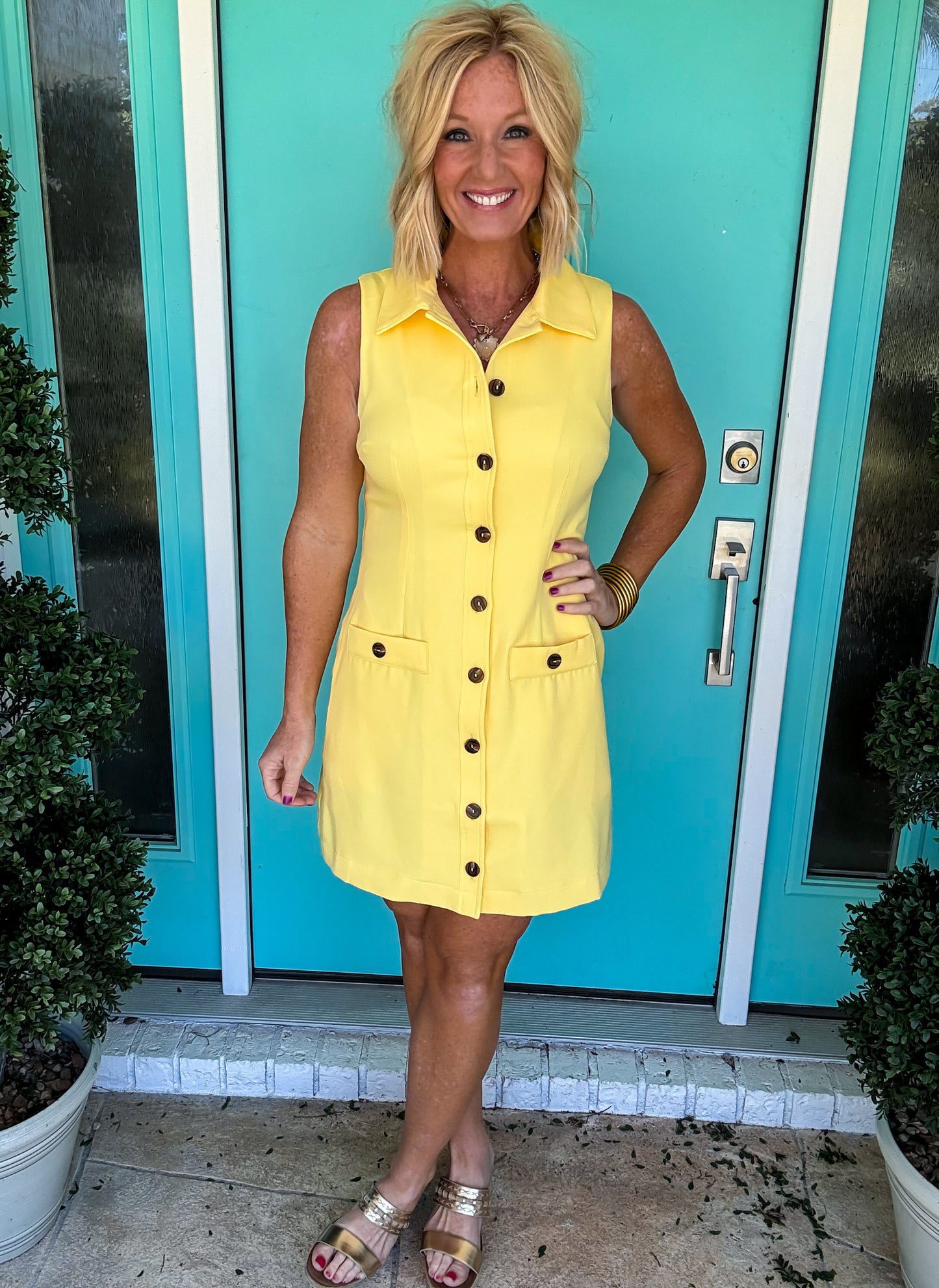 Summer Charm Button Dress