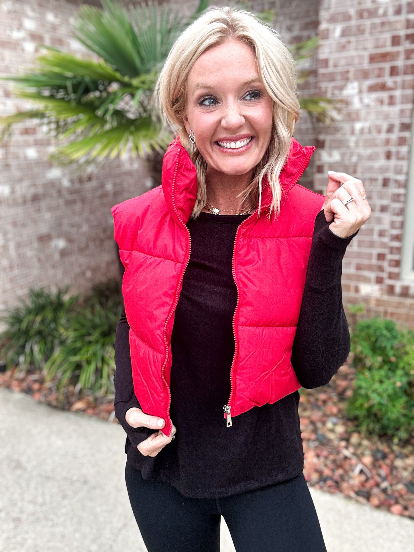 The Mountaintop Puffer Cropped Vest