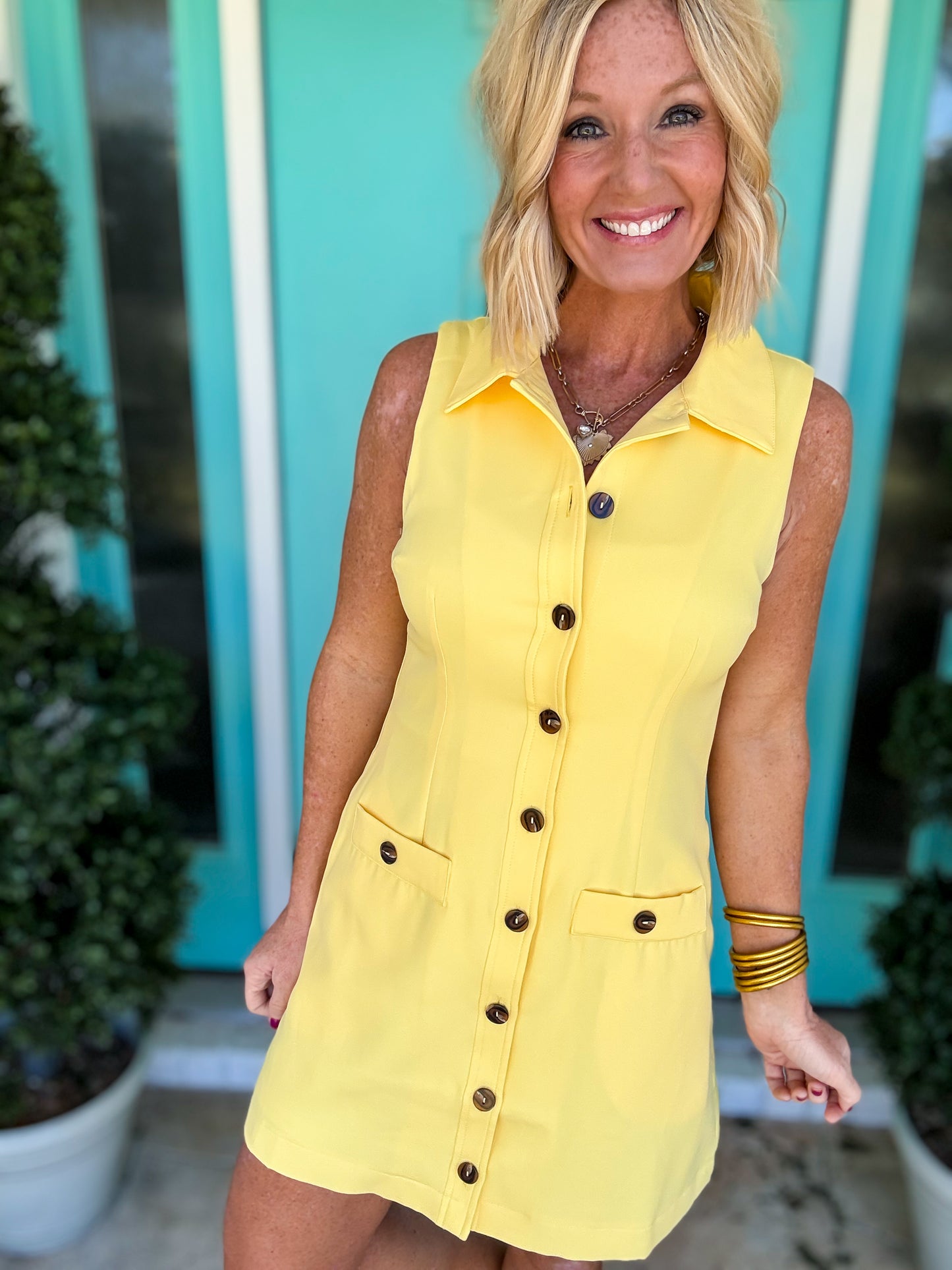 Summer Charm Button Dress