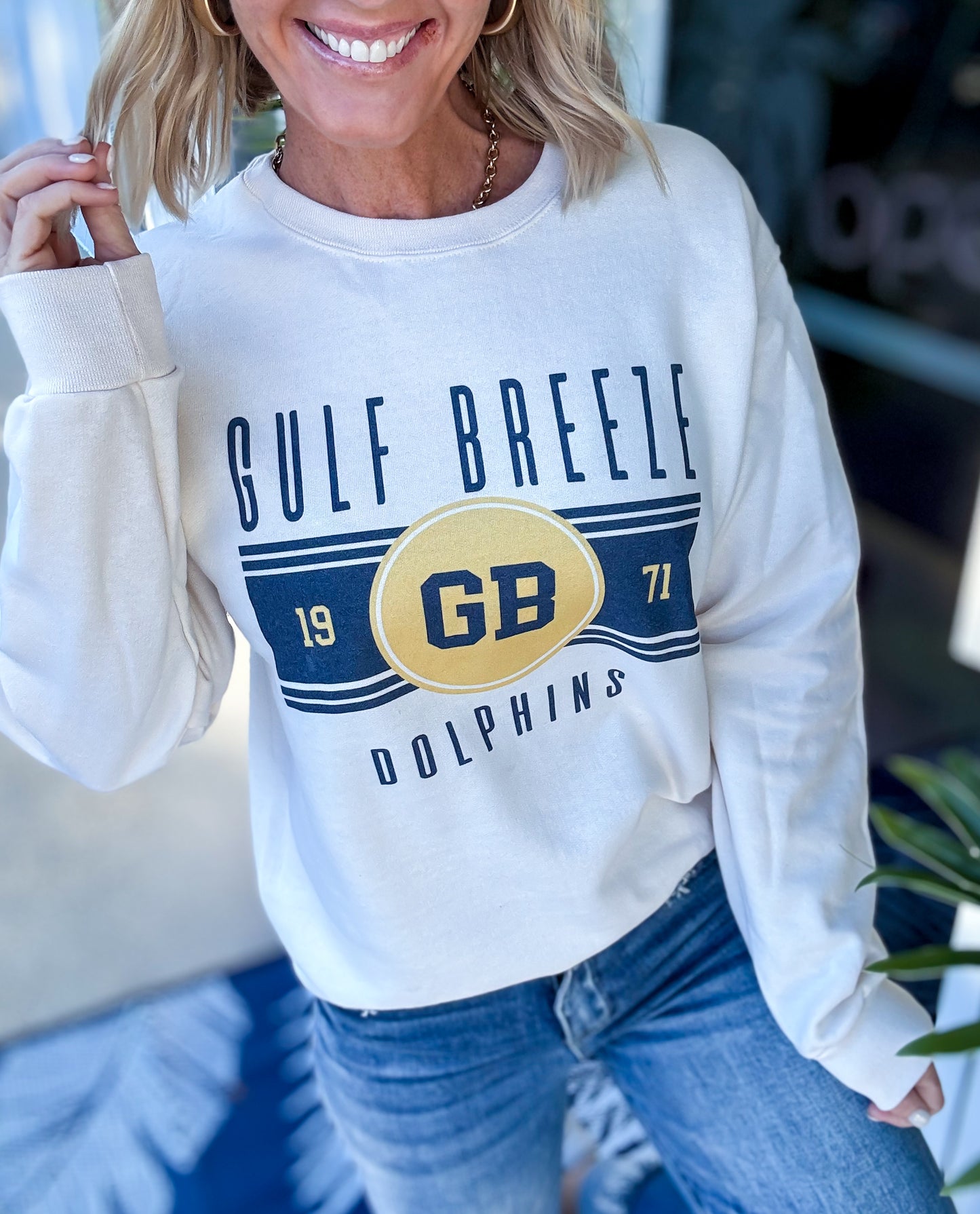 Gulf Breeze Dolphins Retro Sweatshirt