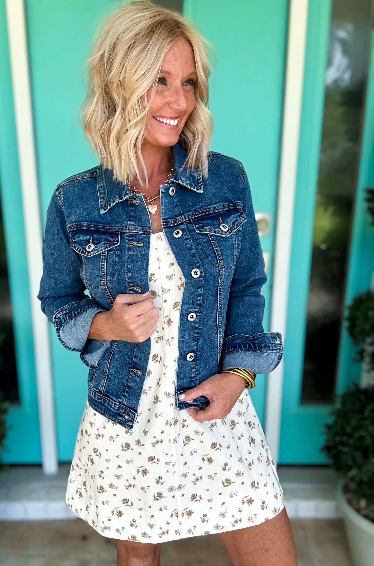 Nevada Denim Dress