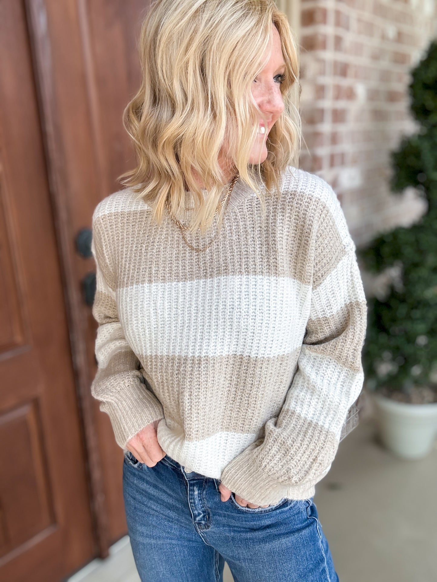 Sierra Stripe Pattern Sweater